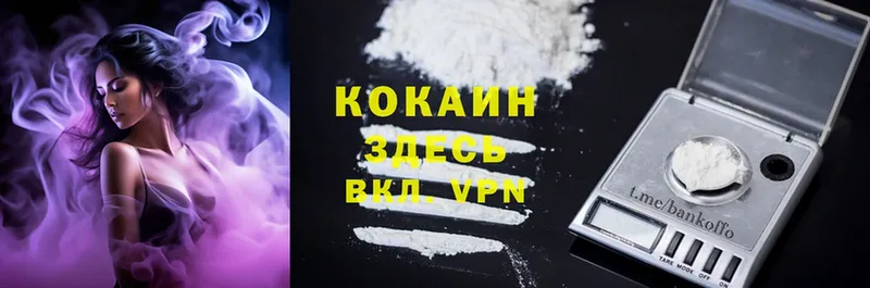 как найти закладки  Щучье  Cocaine 98% 